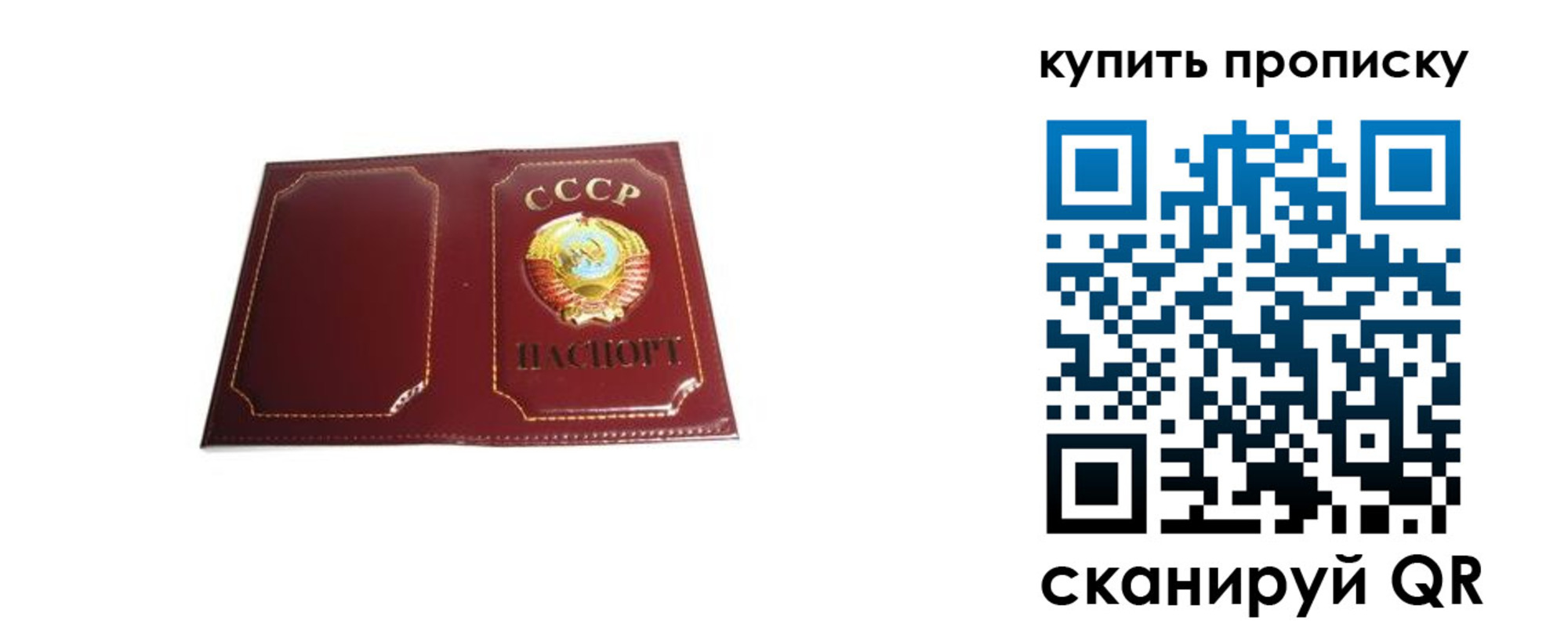 прописка законно в Краснокаменске